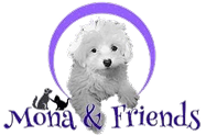 Mona & Friends