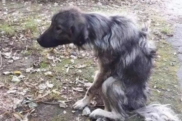 home-gallery4
